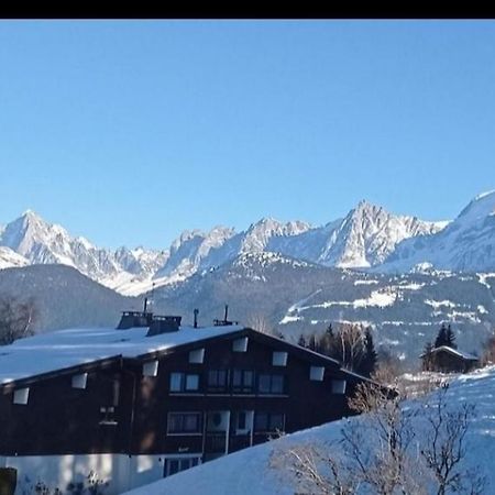 Studio Porte Du Mont Blanc Combloux Aux Pieds Des Pistes Kültér fotó